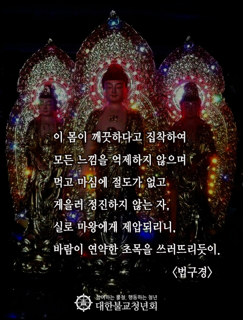 f8d8b6707260a14b3ac075392840b9b4_1510218693_2766.jpg